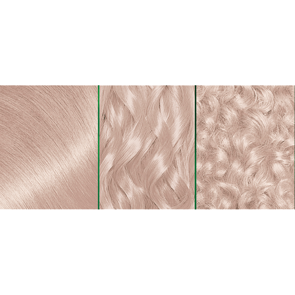 3600542631662 cs 1