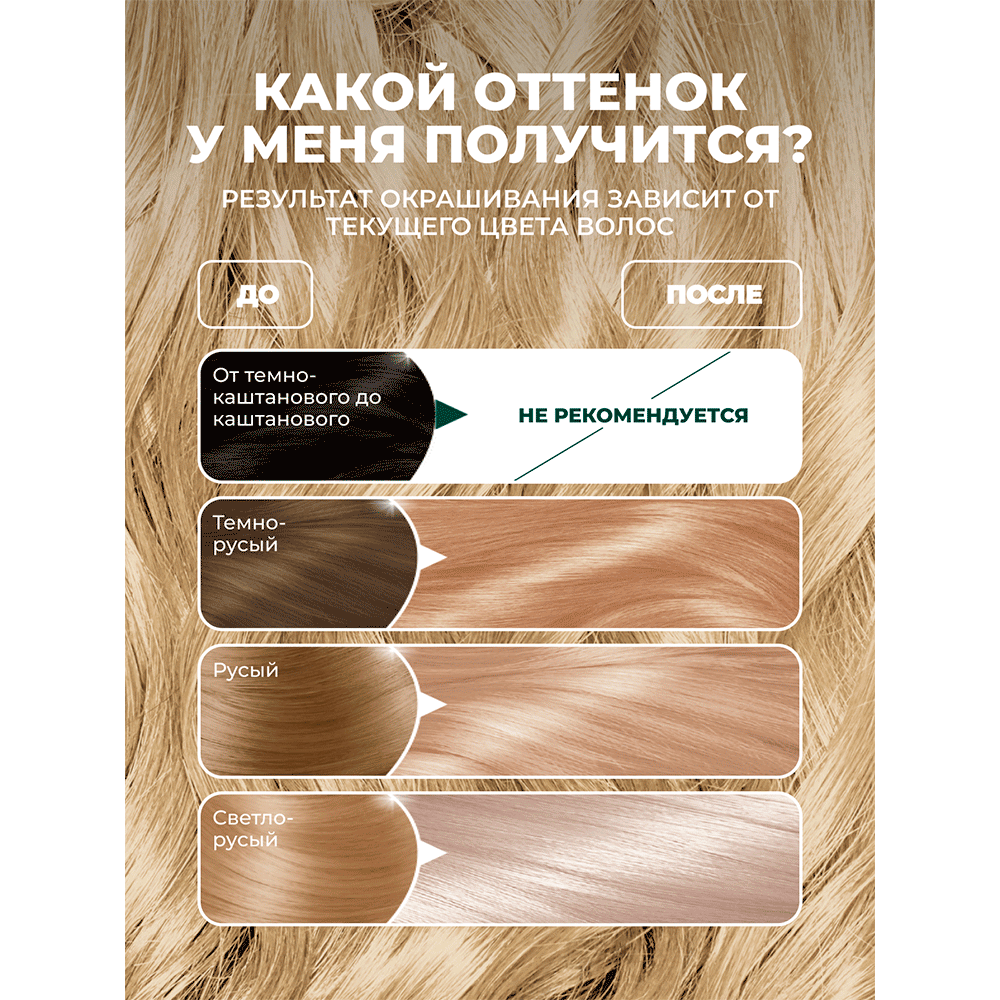 3600542631662 oz 02