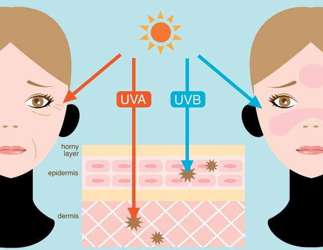 ККак крем от загара защищает от UVB и UVA лучей