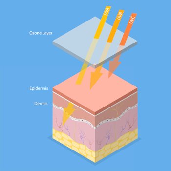 виды уф лучей