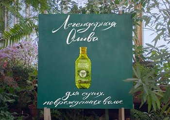 content block BT olive 1 465328