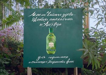 content block BT tea tree oil 1 465328