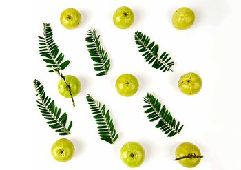 Ингредиенты Garnier Амла