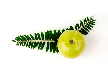 Ингредиенты Garnier Амла