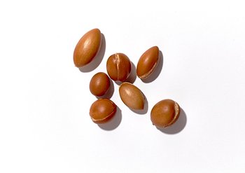 Ингредиенты Garnier Аргана