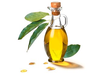 Ингредиенты Garnier Авокадо