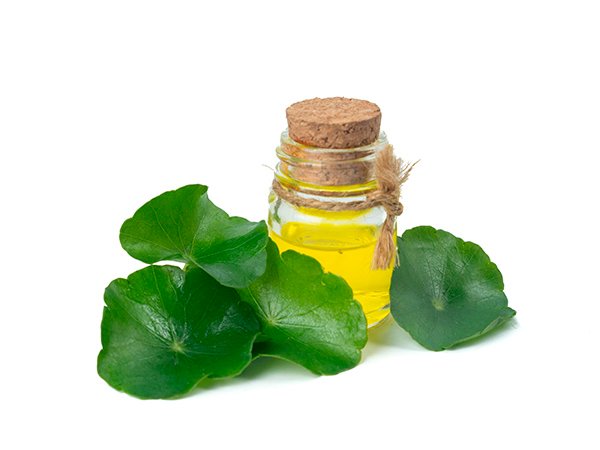 Центелла азиатская [centella asiatica] в косметике для кожи лица