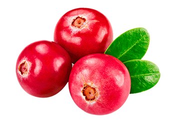 Ингредиенты Garnier Клюква