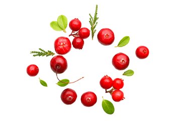 Ингредиенты Garnier Клюква