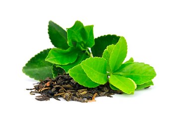 Ингредиенты Garnier Зеленый Чай