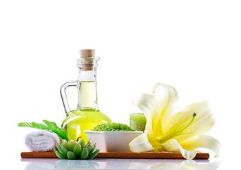 Ингредиенты Garnier Зеленый Чай