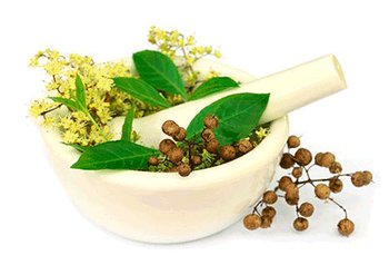 Ингредиенты Garnier Хна