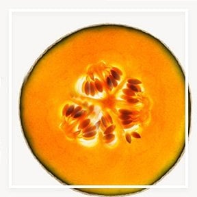 Garnier Color Match logo