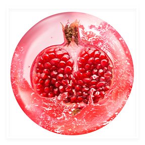 Garnier Color Match logo