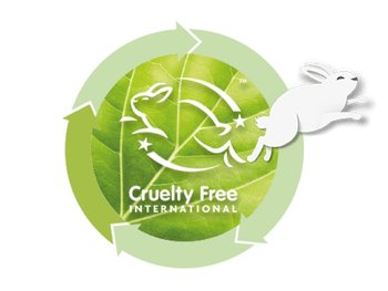 ingredients common content block 2