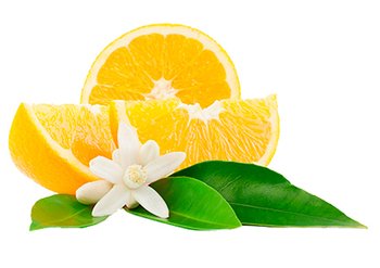 Ингредиенты Garnier Цветки Апельсина