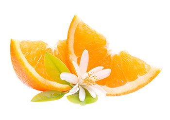 Ингредиенты Garnier Цветки Апельсина