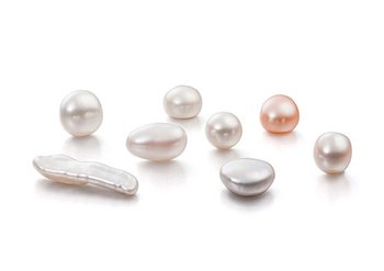 Ингредиенты Garnier Перлит