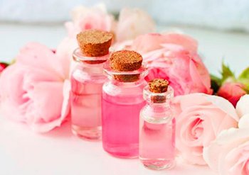 Ингредиенты Garnier Роза