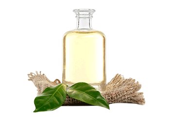 Ингредиенты Garnier Масло чайного дерева