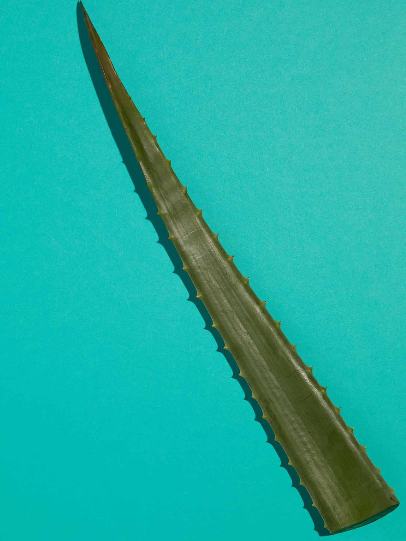 3600542290449 T3