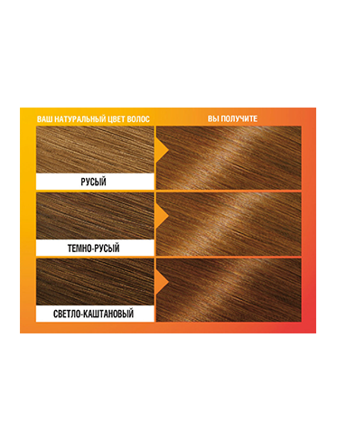 Краска для волос Garnier Color&Shine	6.23 Лесной орех-4