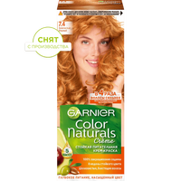 3600540168580 T1 snyat