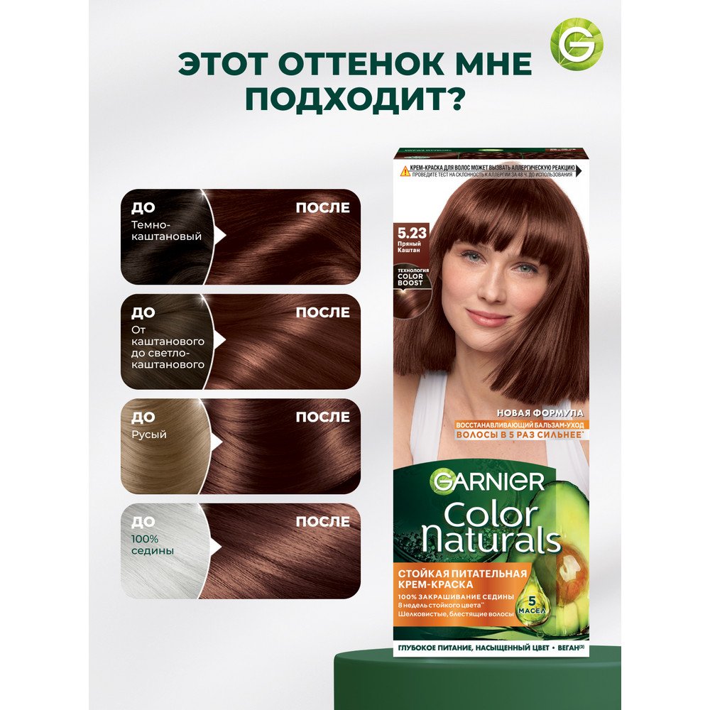 3600541678774 T6