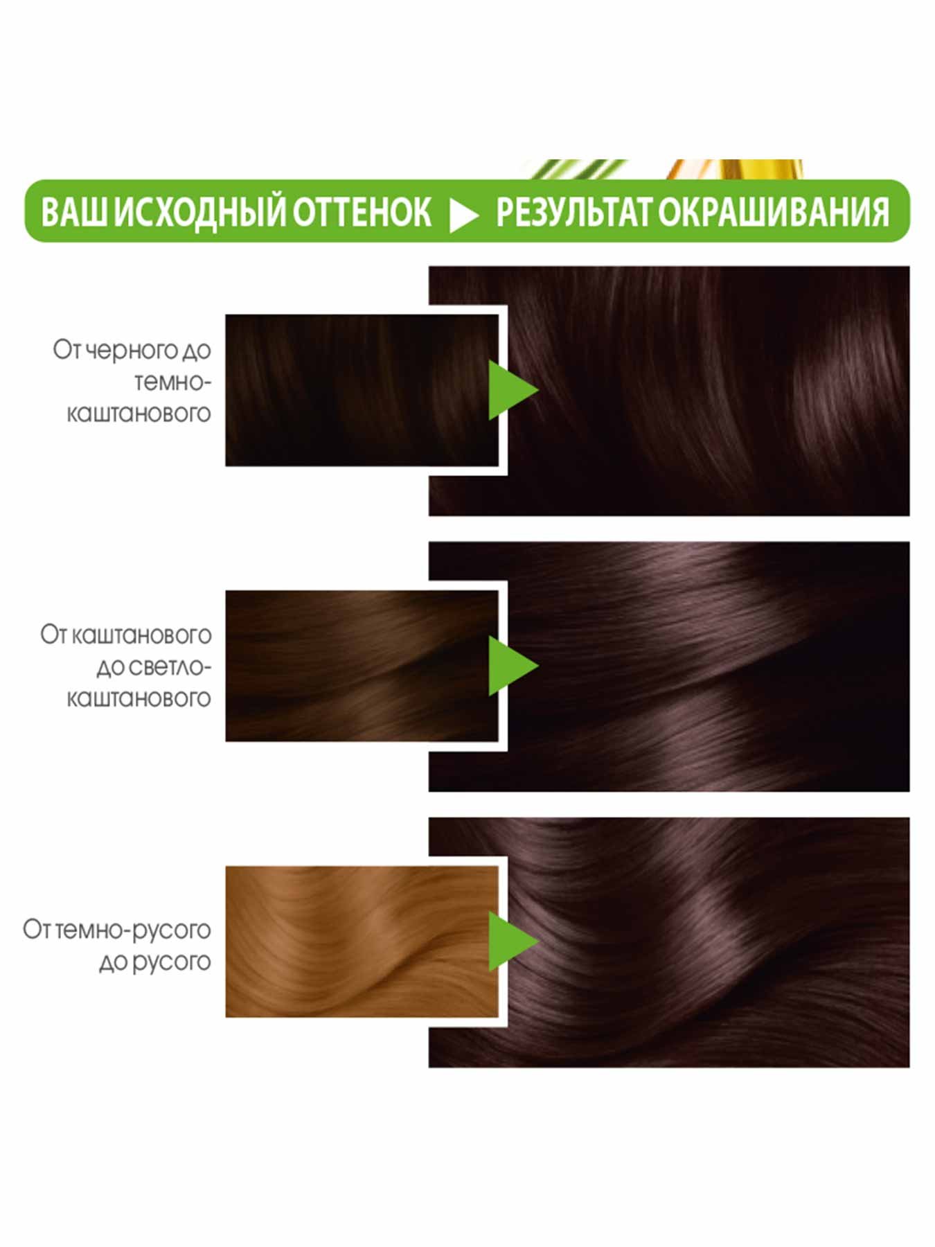 3600542336024 T3 n