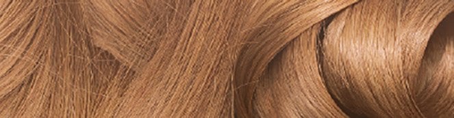 3600542245982 831 olia swatch